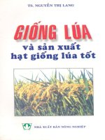 Giống lúa và sản xuất hạt giống lúa tốt docx