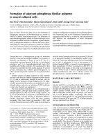 Báo cáo Y học: Formation of aberrant phosphotau ﬁbrillar polymers in neural cultured cells doc