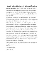 Canh mộc nhĩ giúp trị rối loạn tiền đình pot