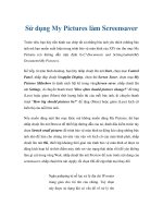 Sử dụng My Pictures làm Screensaver pot