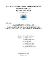 BẢO HIỂM BẮT BUỘC LÀ GÌ?  TẠI SAO BẢO HIỂM TRÁCH NHIỆM DÂN SỰ CHỦ XE CƠ GIỚI LẠI LÀ BẢO HIỂM BẮT BUỘC?