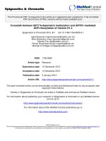 Crosstalk between SET7/9-dependent methylation and ARTD1-mediated ADP-ribosylation of histone H1.4 pptx