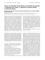 Báo cáo khoa học: Kinetics of violaxanthin de-epoxidation by violaxanthin de-epoxidase, a xanthophyll cycle enzyme, is regulated by membrane ﬂuidity in model lipid bilayers pptx