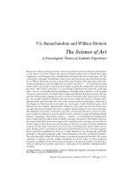The Science of Art A Neurological Theory of Aesthetic Experience pot