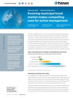 Evolving municipal bond market makes compelling case for active management pot