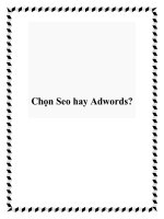 Chọn Seo hay Adwords? doc
