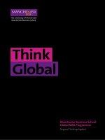 Global Think: Manchester Business School Global MBA Programme potx