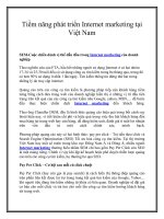 Tiềm năng phát triển Internet marketing tại Việt Nam docx