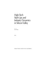 High-Tech Start-Ups and Industry Dynamics in Silicon Valley potx