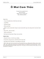 Ô Mai Cam Thảo ppt