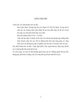 cơ sở dữ liệu không gian