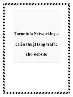 Tarantula Networking – chiến thuật tăng traffic cho website docx