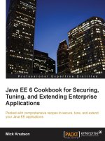 Java EE 6 Cookbook for Securing, Tuning, and Extending Enterprise Applications pdf