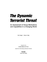The Dynamic Terrorist Threat doc