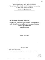 Nghiên cứu , lựa chọn công nghệ và thiết bị để chế biến một số loại hạt giống cây trồng chất lượng cao quy mô vừa và nhỏ pot