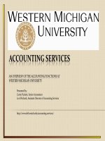 ACCOUNTING SERVICES: AN OVERVIEW OF THE ACCOUNTING FUNCTIONS AT WESTERN MICHIGAN UNIVERSITY pdf
