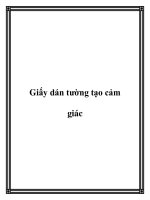 Giấy dán tường tạo cảm giác potx