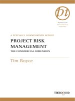 PROJECT RISK MANAGEMENT: THE COMMERCIAL DIMENSION docx