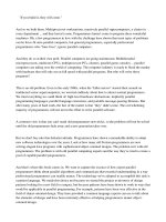 pattern language for parallel programming, 2004