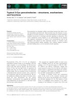 Báo cáo khoa học: Typical 2-Cys peroxiredoxins – structures, mechanisms and functions ppt