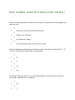 TRẮC NGHIỆM - KINH TẾ VĨ MÔ & VI MÔ - ĐỀ SỐ 13 doc