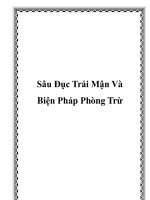 Sâu Đục Trái Mận Và Biện Pháp Phòng Trừ docx