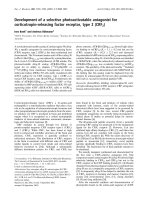 Báo cáo Y học: Development of a selective photoactivatable antagonist for corticotropin-releasing factor receptor, type 2 (CRF2) potx