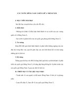 CÁC NƯỚC ĐÔNG NAM Á ĐẾN GIỮA THỀ KỈ XIX pdf