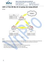 Lab 1.3 Tóm tắt địa chỉ và quảng cáo mạng default pdf