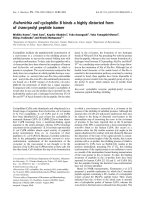 Báo cáo khoa học: Escherichia coli cyclophilin B binds a highly distorted form of trans-prolyl peptide isomer doc