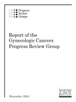 Report of the Gynecologic Cancers Progress Review Group docx