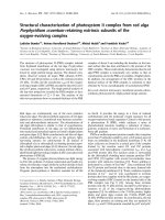 Báo cáo khoa học: Structural characterization of photosystem II complex from red alga Porphyridium cruentum retaining extrinsic subunits of the oxygen-evolving complex docx