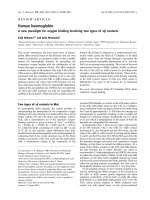 Báo cáo khoa học: A new paradigm for oxygen binding involving two types of ab contacts docx