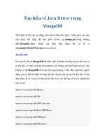 Tìm hiểu về Java Driver trong MongoDB potx