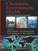 Chemicals, Environment, Health: A Global Management Perspective ppt