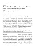 Classiﬁcation of colorectal cancer based on correlation of clinical, morphological and molecular features doc