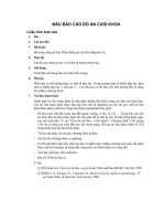 MẪU BÁO CÁO ĐỒ ÁN CUỐI KHOÁ