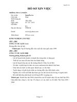 Mẫu Đơn Xin Việc - Giám đốc du lịch