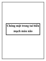 Chóng mặt trong tai biến mạch máu não pot