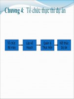 Tổ chức thực thi dự án pdf