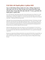 Gái khờ chỉ hạnh phúc ở phim thôi