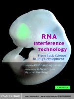 RNA Interference Technology FROM BASIC SCIENCE TO DRUG DEVELOPMENT ppt