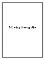 Mở rộng thương hiệu docx