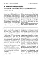 Báo cáo khoa học: The transthyretin-related protein family doc