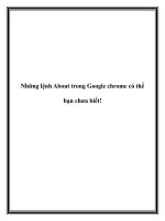Những lệnh About trong Google chrome có thể bạn chưa biết! doc