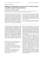 Báo cáo Y học: Modulation of the oligomeric structures of HIV-1 retroviral enzymes by synthetic peptides and small molecules pptx
