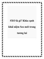 SXO là gì? Khía cạnh khái niệm Seo mới trong tương lai pot