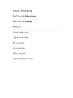 Artemia - Brine shrimp pdf