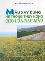 Mẫu xây dựng hệ thống thủy nông cho lúa rau màu pptx