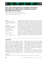 Báo cáo khoa học: New roles of ﬂavoproteins in molecular cell biology: Blue-light active ﬂavoproteins studied by electron paramagnetic resonance pptx
